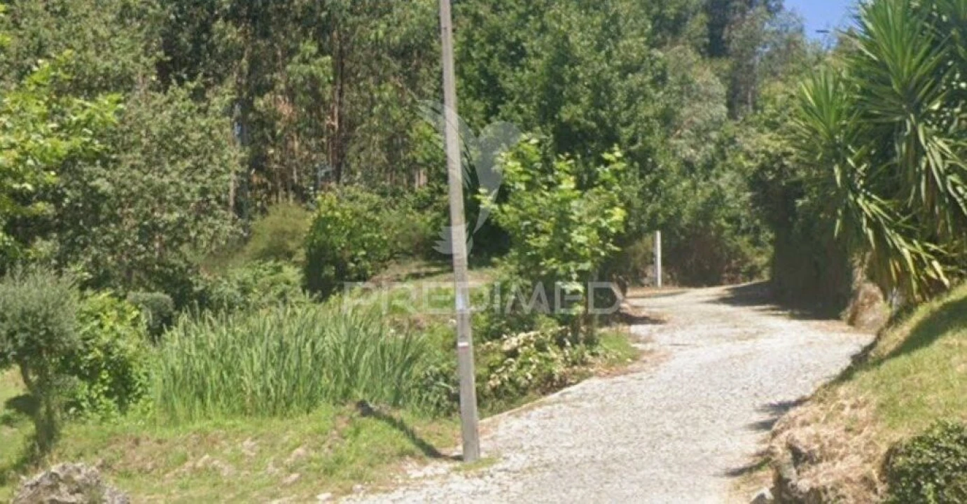 Terreno para Venda em Calvos e Frades Foto 4