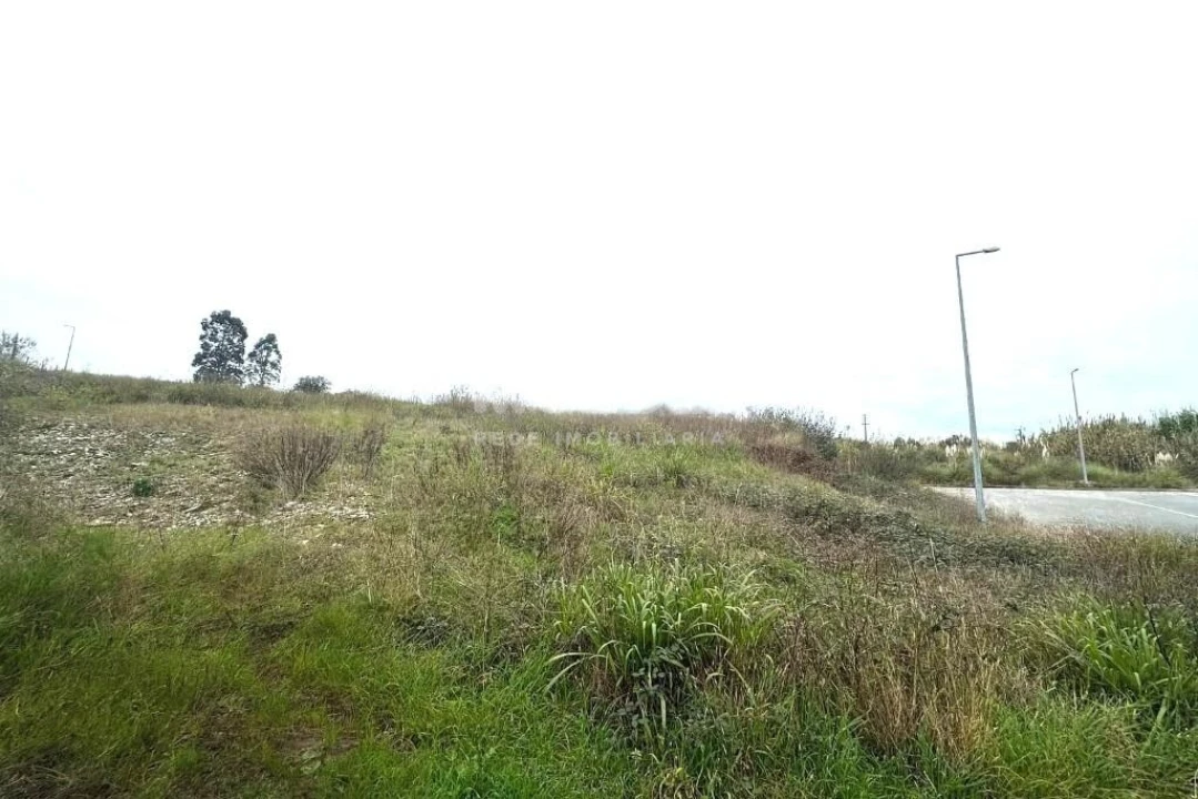 Terreno para Venda em Salreu Foto 2