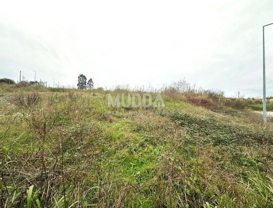 Terreno para Venda em Salreu Foto 1