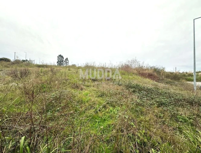 Terreno para Venda em Salreu Foto 1