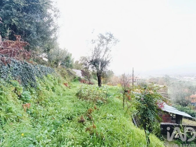 Moradia T2 para Venda em Geraz do Lima (Santa Maria, Santa Leocádia, Moreira), Deão Foto 12