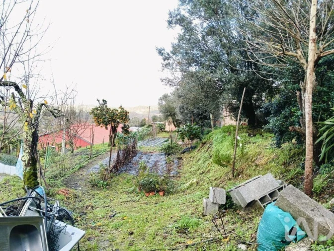 Moradia T2 para Venda em Geraz do Lima (Santa Maria, Santa Leocádia, Moreira), Deão Foto 4