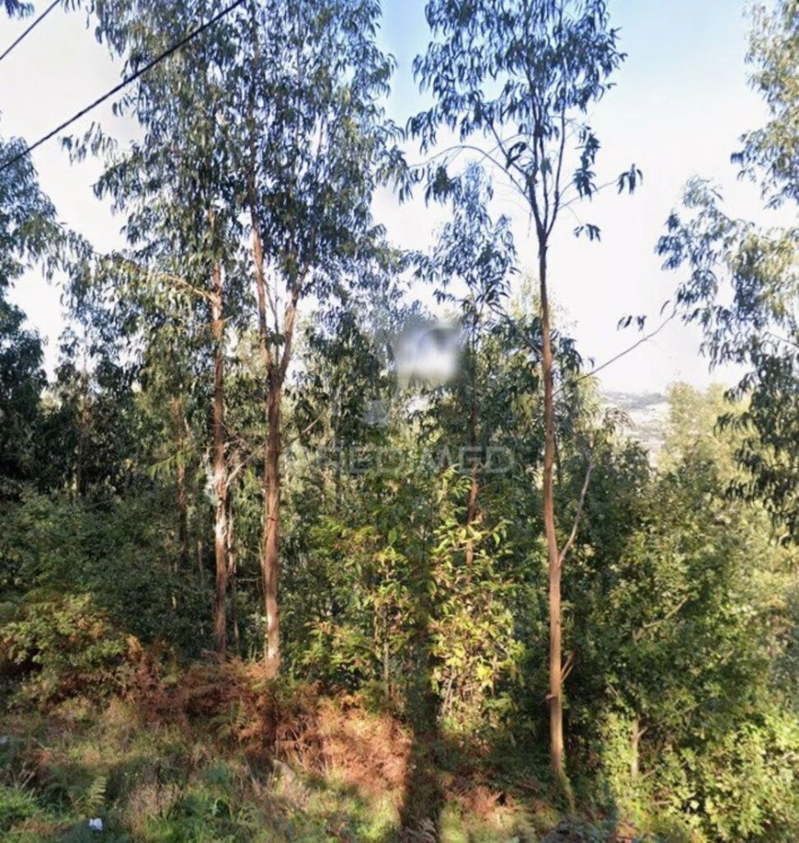 Terreno para Venda em Oliveira do Douro Foto 2