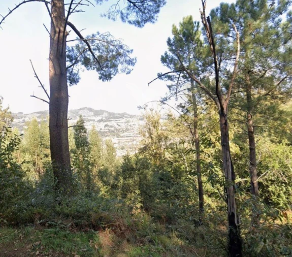 Terreno para Venda em Oliveira do Douro Foto 1