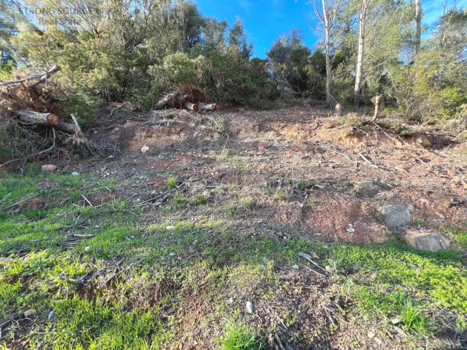 Moradia T3 para Venda em Sesimbra (Santiago) Foto 61