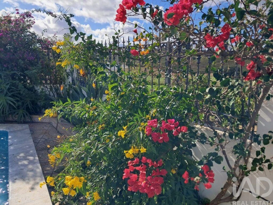 Moradia T3 para Venda em Odeleite Foto 7