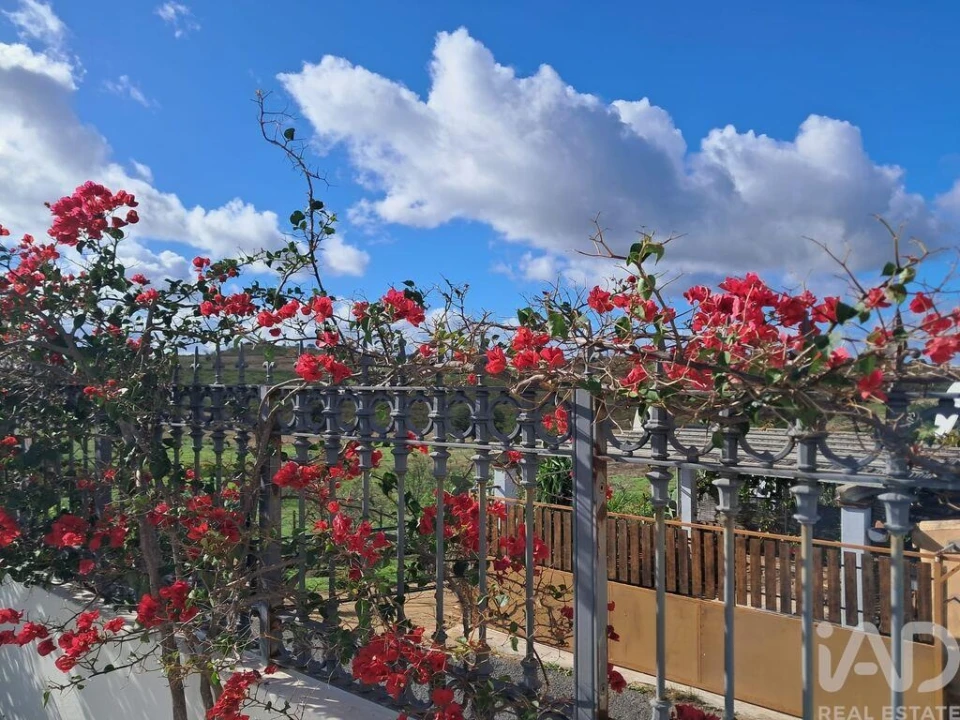 Moradia T3 para Venda em Odeleite Foto 8