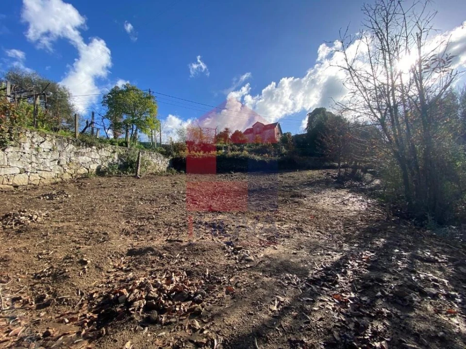 Terreno para Venda em Pico de Regalados, Gondiães e Mós Foto 15