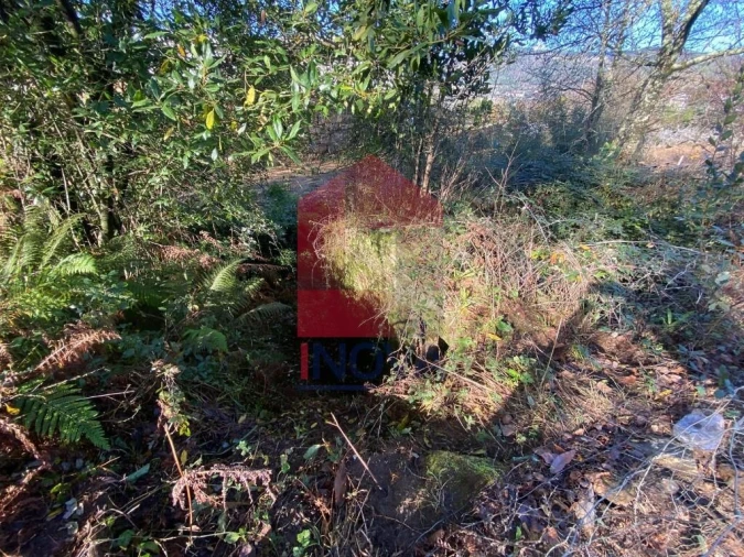 Terreno para Venda em Pico de Regalados, Gondiães e Mós Foto 16