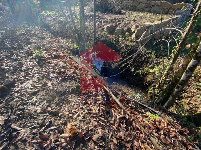 Terreno para Venda em Pico de Regalados, Gondiães e Mós Foto 13