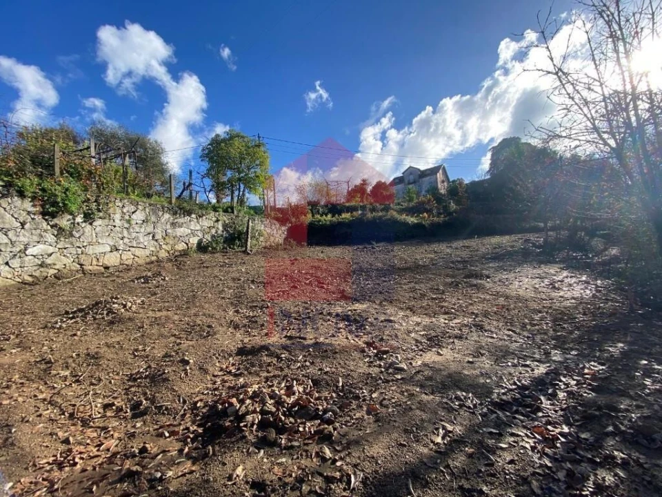 Terreno para Venda em Pico de Regalados, Gondiães e Mós Foto 18
