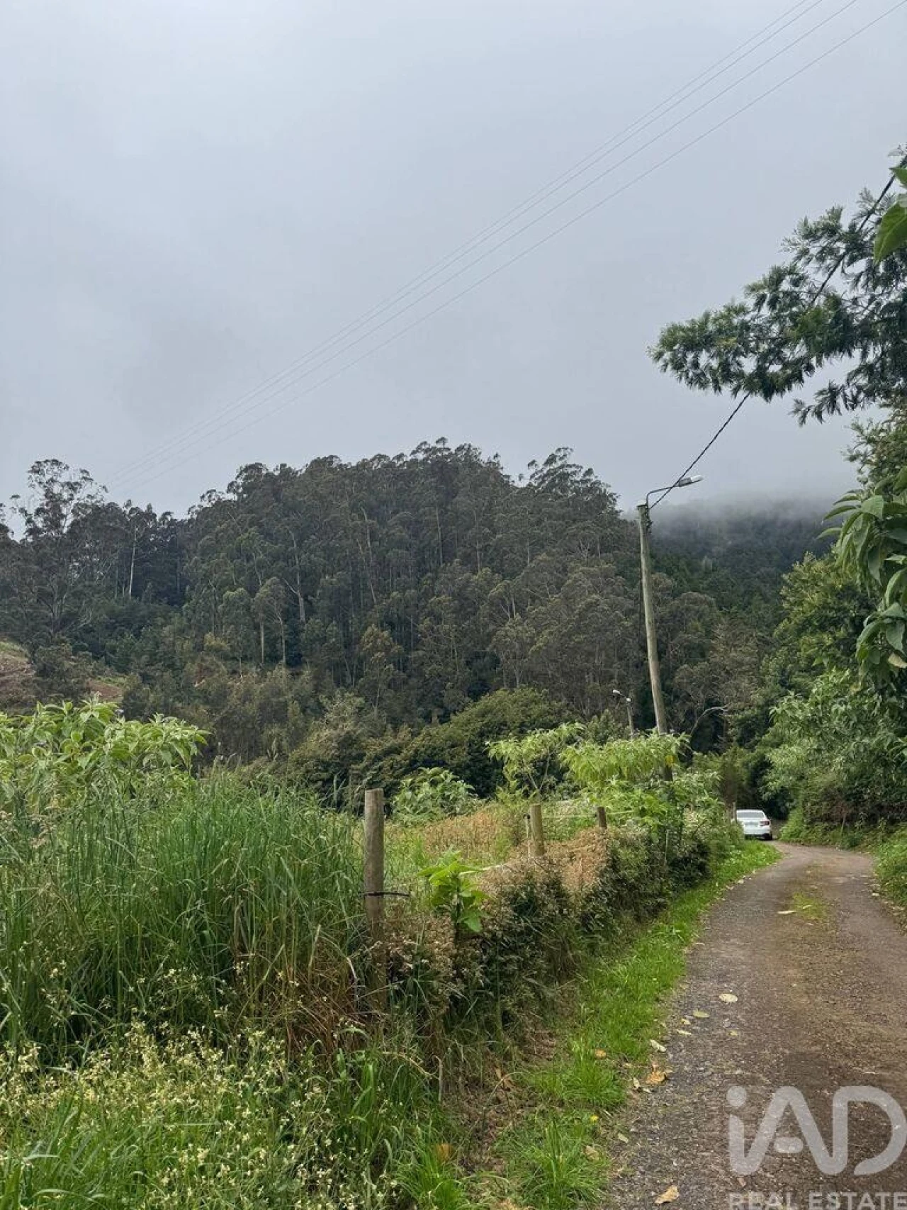 Loja para Venda em Santo Antonio da Serra Foto 10