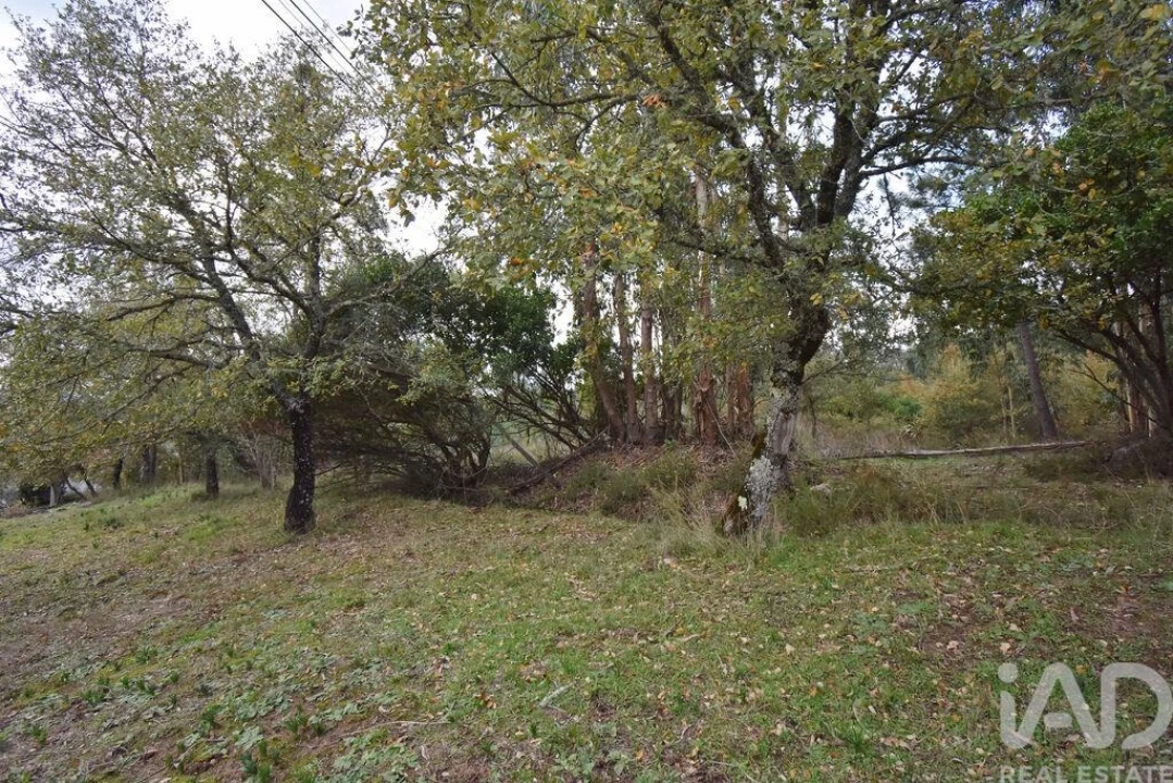 Moradia T1 para Venda em São Miguel, Santa Eufémia e Rabaçal Foto 29