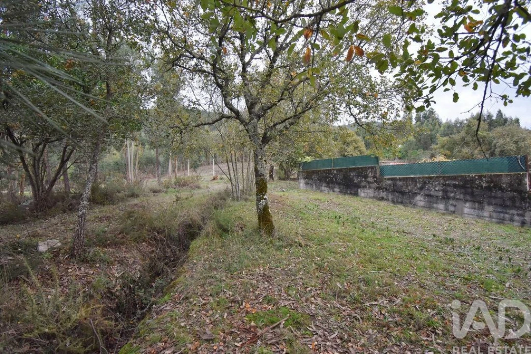 Moradia T1 para Venda em São Miguel, Santa Eufémia e Rabaçal Foto 31