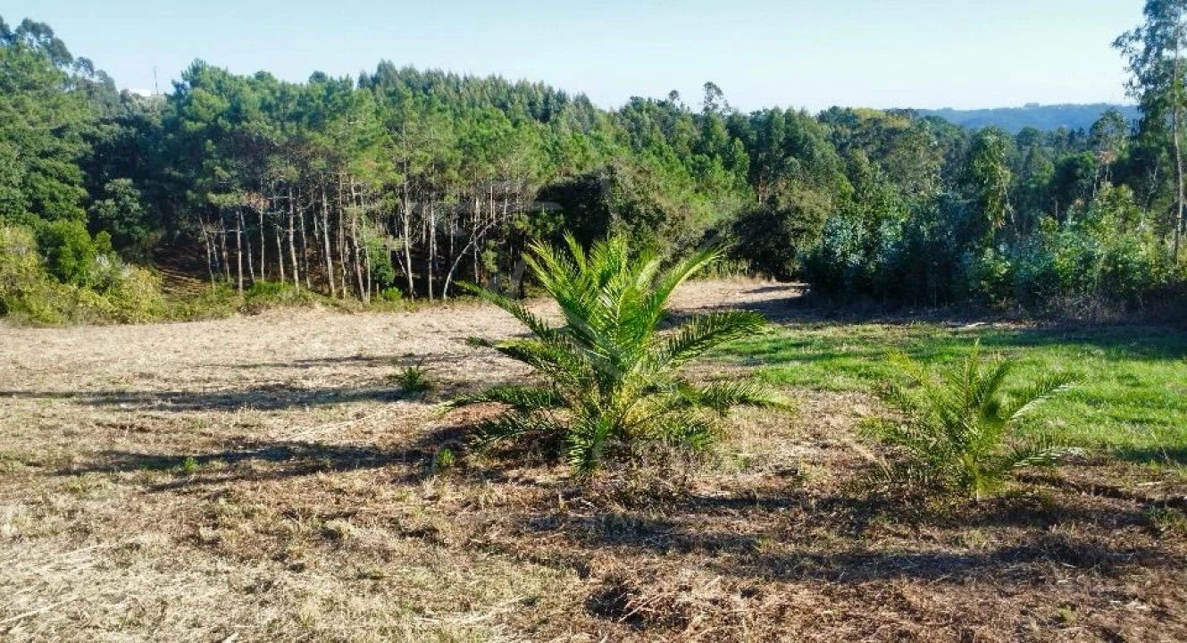 Moradia T3 para Venda em Alfeizerão Foto 15