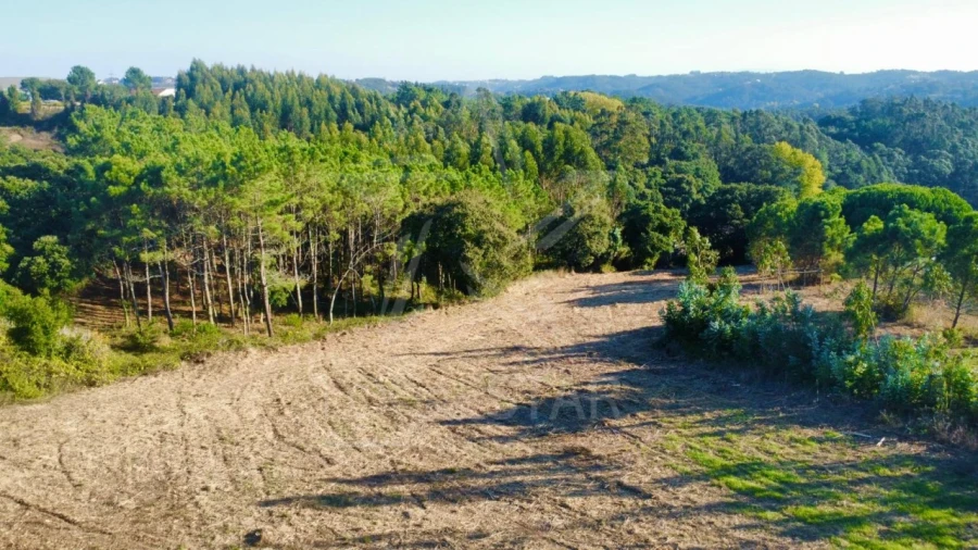 Moradia T3 para Venda em Alfeizerão Foto 12