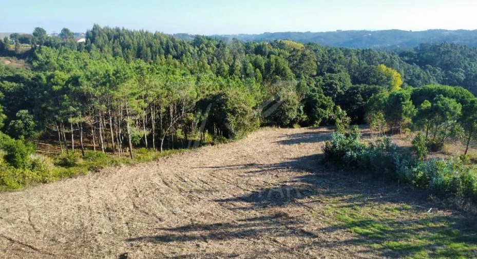 Moradia T3 para Venda em Alfeizerão Foto 16