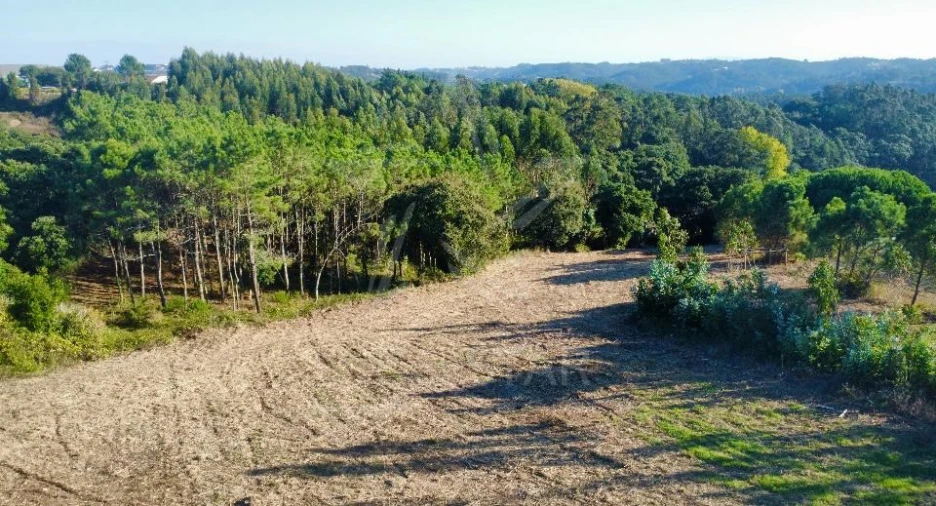 Moradia T3 para Venda em Alfeizerão Foto 18