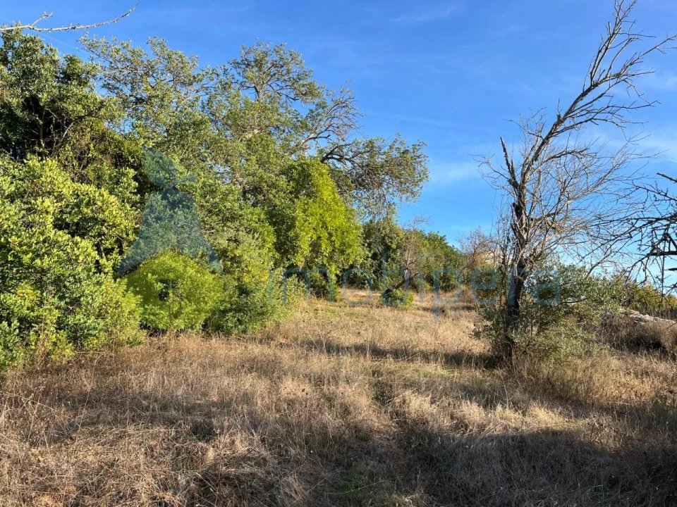 Terreno Agricola ou Rústico para Venda em Paderne Foto 7