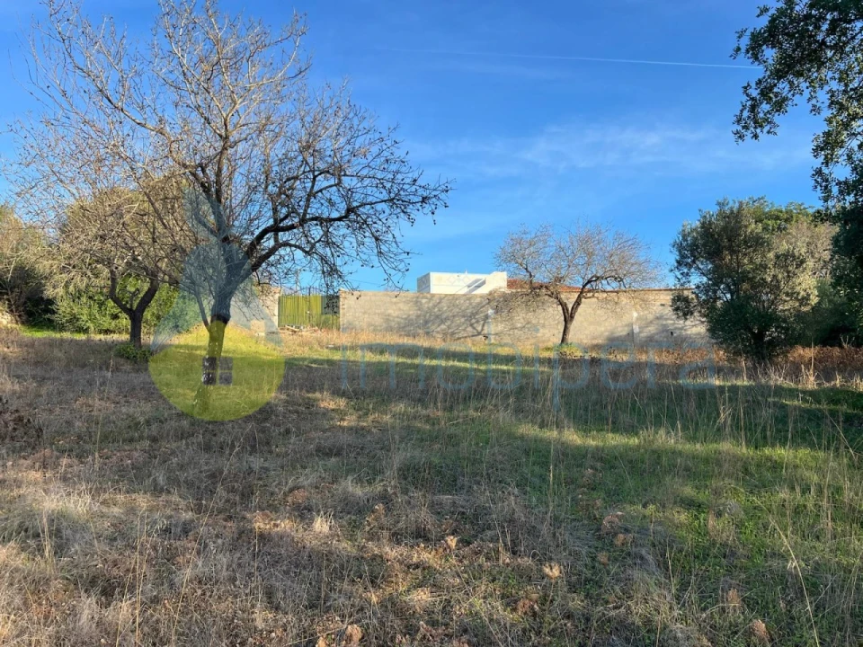 Terreno Agricola ou Rústico para Venda em Paderne Foto 8