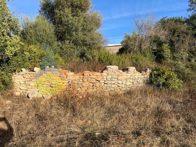 Terreno Agricola ou Rústico para Venda em Paderne Foto 4
