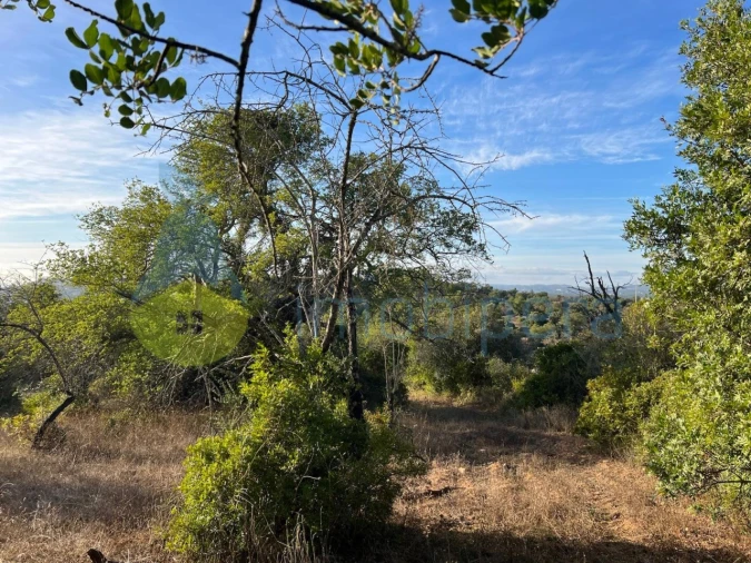 Terreno Agricola ou Rústico para Venda em Paderne Foto 3
