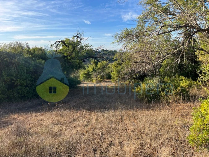 Terreno Agricola ou Rústico para Venda em Paderne Foto 2