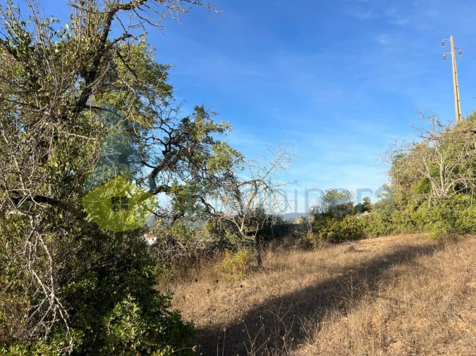 Terreno Agricola ou Rústico para Venda em Paderne Foto 6