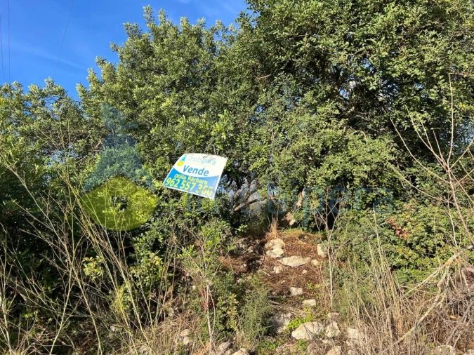 Terreno Agricola ou Rústico para Venda em Paderne Foto 9