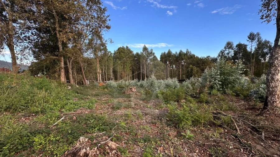 Terreno para Venda em Friastelas Foto 3