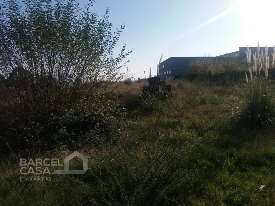Terreno Comércio / Armazém para Venda em Campo e Tamel (São Pedro Fins) Foto 4