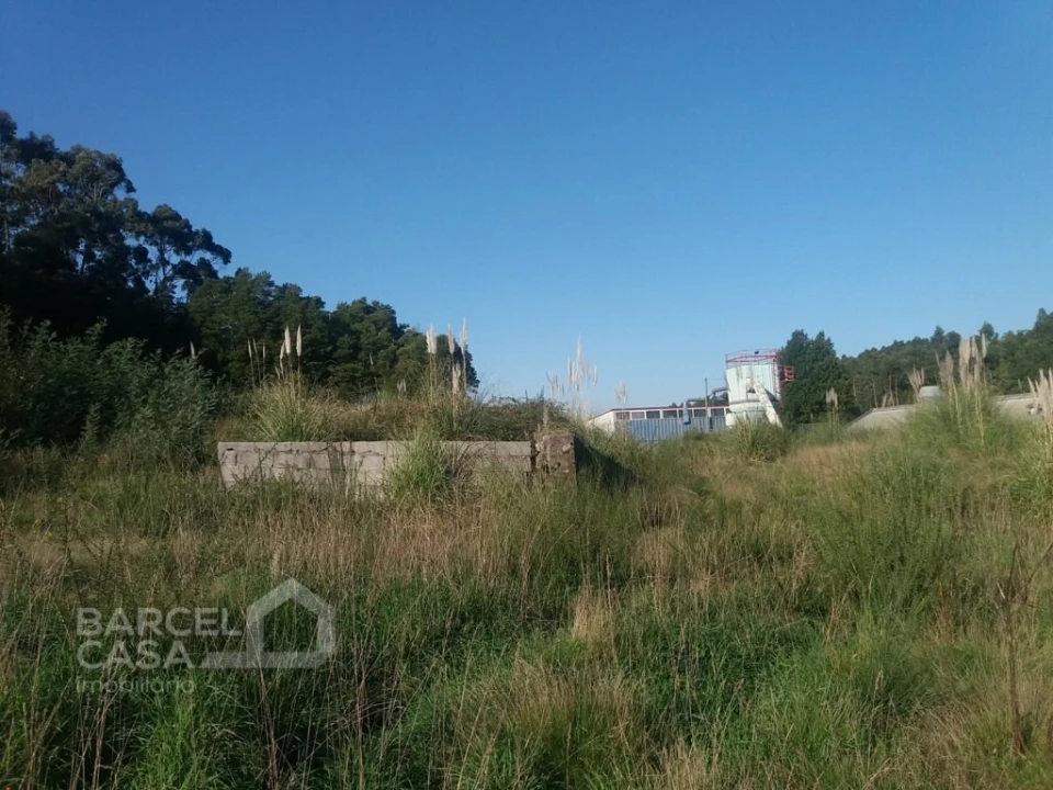 Terreno Comércio / Armazém para Venda em Campo e Tamel (São Pedro Fins) Foto 5