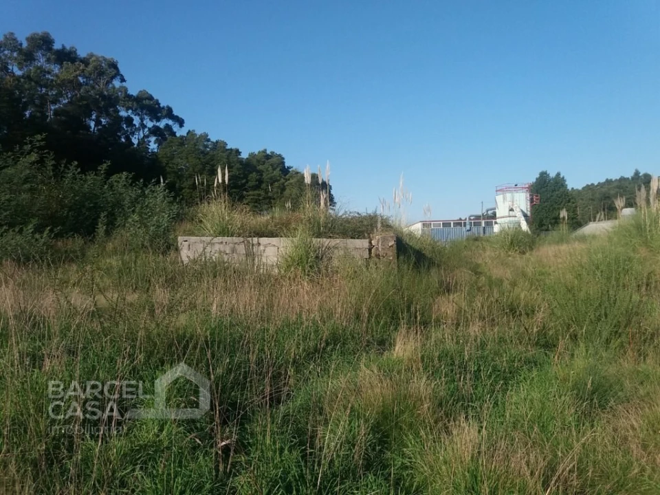 Terreno Comércio / Armazém para Venda em Campo e Tamel (São Pedro Fins) Foto 6