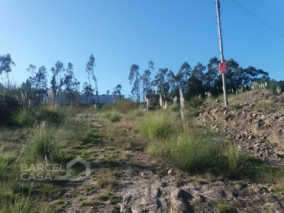 Terreno Comércio / Armazém para Venda em Campo e Tamel (São Pedro Fins) Foto 8