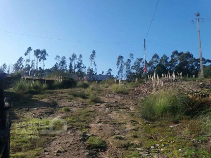 Terreno Comércio / Armazém para Venda em Campo e Tamel (São Pedro Fins) Foto 1