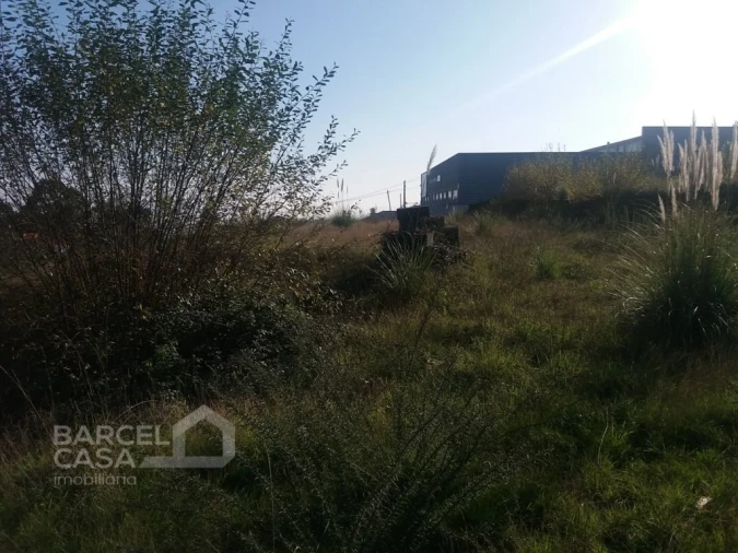 Terreno Comércio / Armazém para Venda em Campo e Tamel (São Pedro Fins) Foto 4