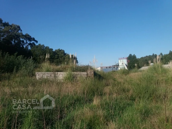 Terreno Comércio / Armazém para Venda em Campo e Tamel (São Pedro Fins) Foto 5