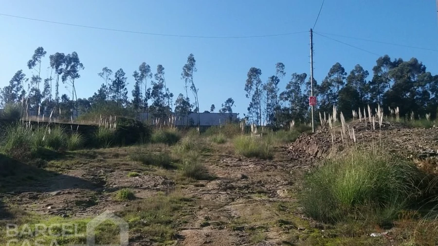 Terreno Comércio / Armazém para Venda em Campo e Tamel (São Pedro Fins)