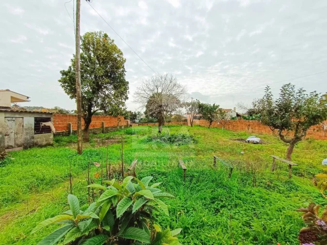 Moradia T5 para Venda em Ílhavo (São Salvador) Foto 5