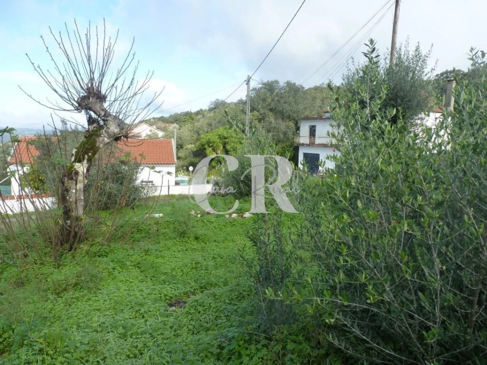 Moradia T1 para Venda em Chão de Couce Foto 42