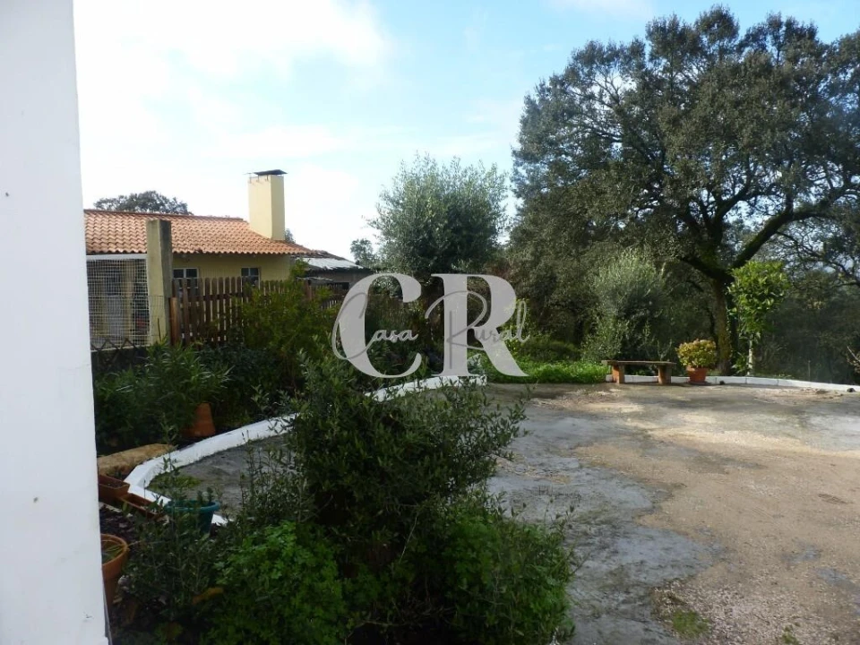 Moradia T1 para Venda em Chão de Couce Foto 39