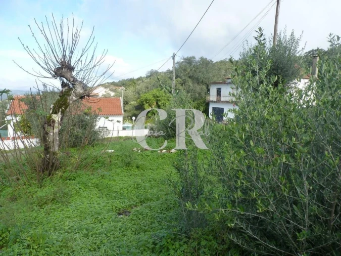 Moradia T1 para Venda em Chão de Couce Foto 42