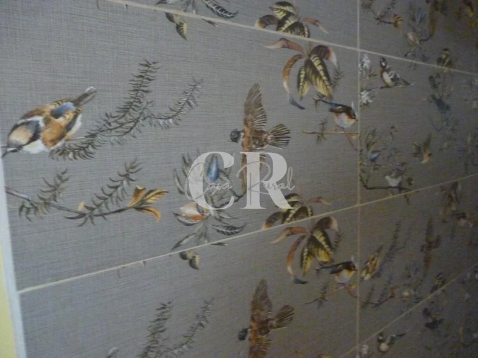 Moradia T1 para Venda em Chão de Couce Foto 21