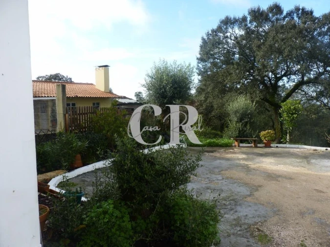 Moradia T1 para Venda em Chão de Couce Foto 39