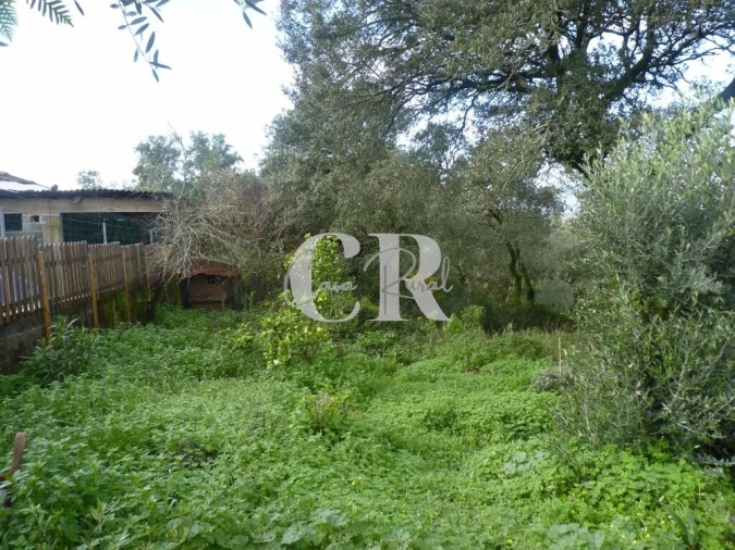 Moradia T1 para Venda em Chão de Couce Foto 41