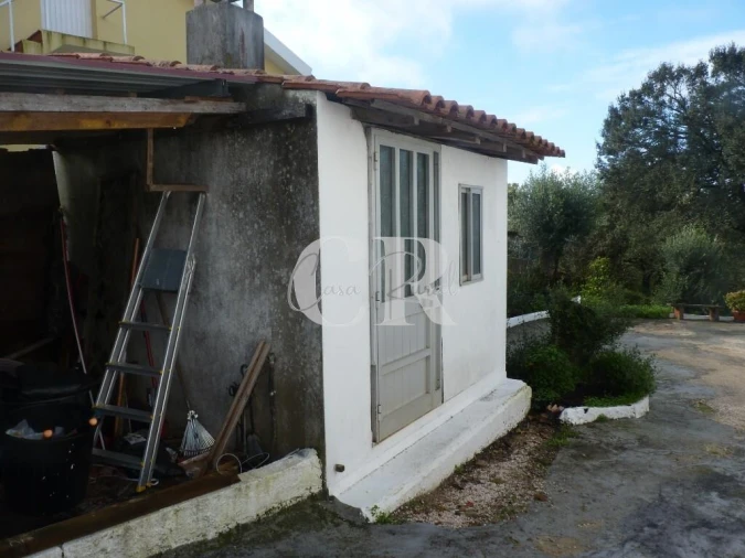 Moradia T1 para Venda em Chão de Couce Foto 37