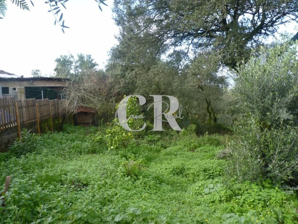 Moradia T1 para Venda em Chão de Couce Foto 41