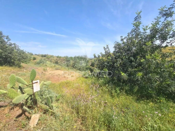 Quinta T2 para Venda em Castro Marim Foto 3