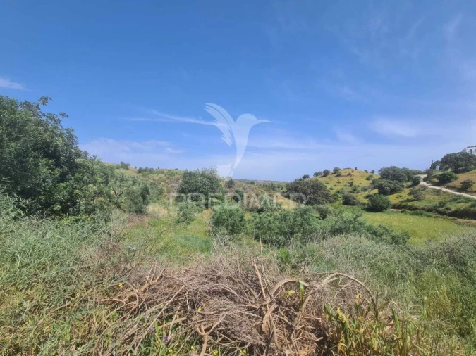 Quinta T2 para Venda em Castro Marim Foto 5