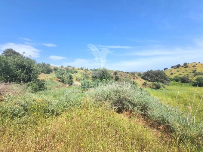 Quinta T2 para Venda em Castro Marim Foto 4